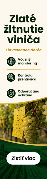 Zlaté žltnutie viniča. Objavte odporúčanú ochranu od Sanaplant.sk.