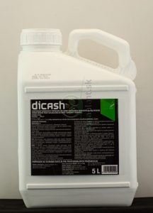 Dicash