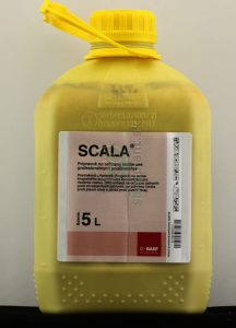 Scala