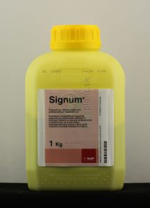 Signum