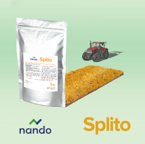 Splito