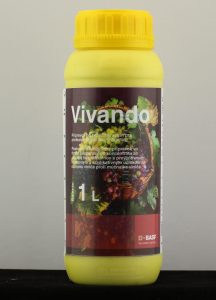 Vivando