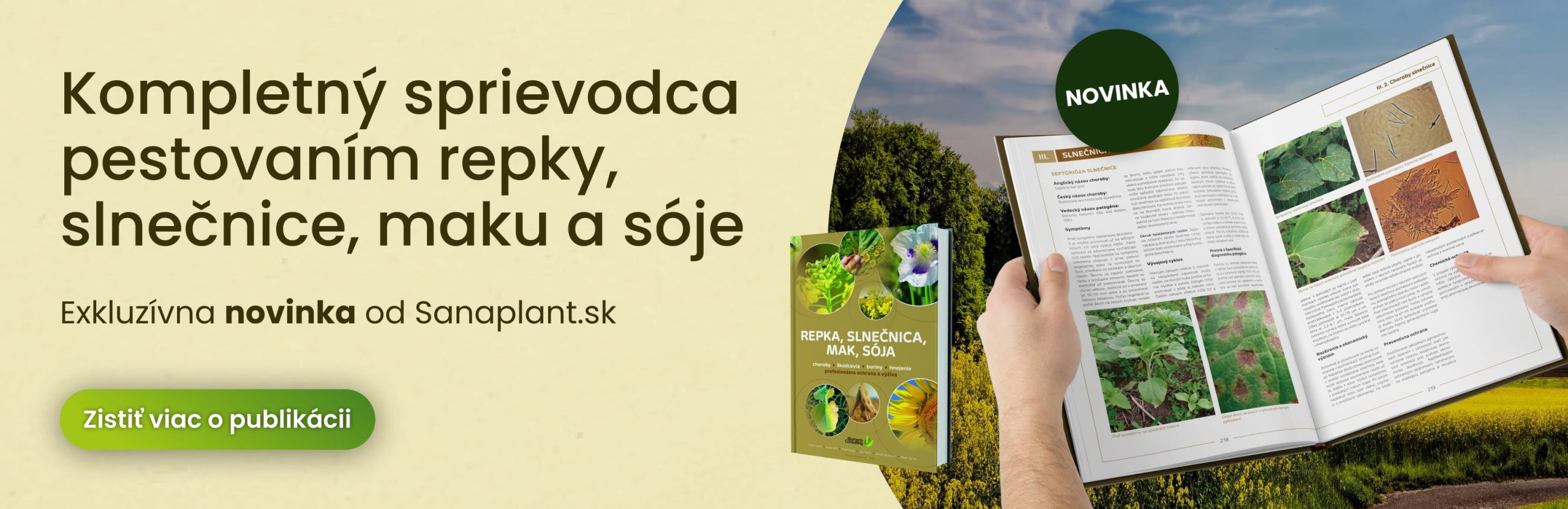 Kompletný sprievodca pestovaním repky, slnečnice, maku a sóje.