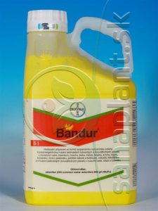 Bandur, 5 l