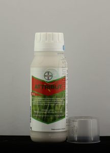 Attribut, 0,3 kg