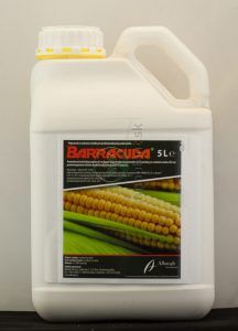 Barracuda, 5 l