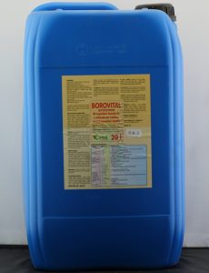 Borovital, 20 l