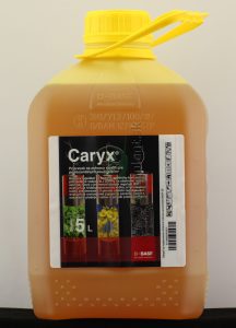Caryx, 5 l