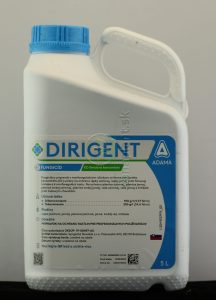 Dirigent, 5 l