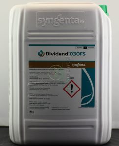Dividend 030 FS, 20 l