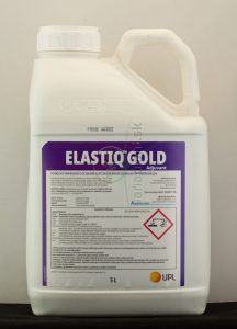 Elastiq Gold, 5 l