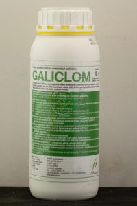 Galiclom, 5 l