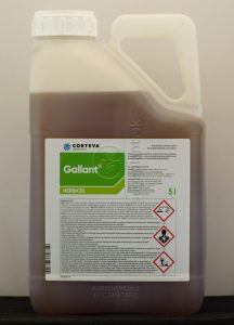Gallant, 5 l