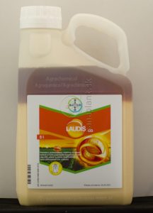 Laudis OD