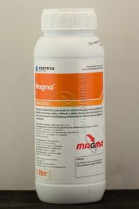 Magma, 1 l
