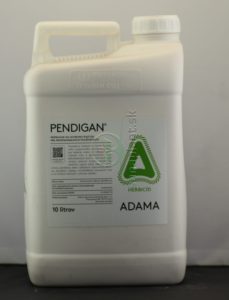 Pendigan, 10 l