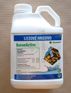Quantum Boron Active
