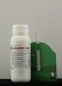 Saracen Max, 0,25 l