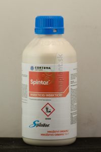 Spintor