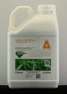 Velocity, 5 l