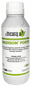 Madison Forte, 1 l