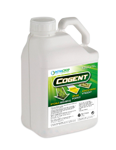 Cogent, 3 l
